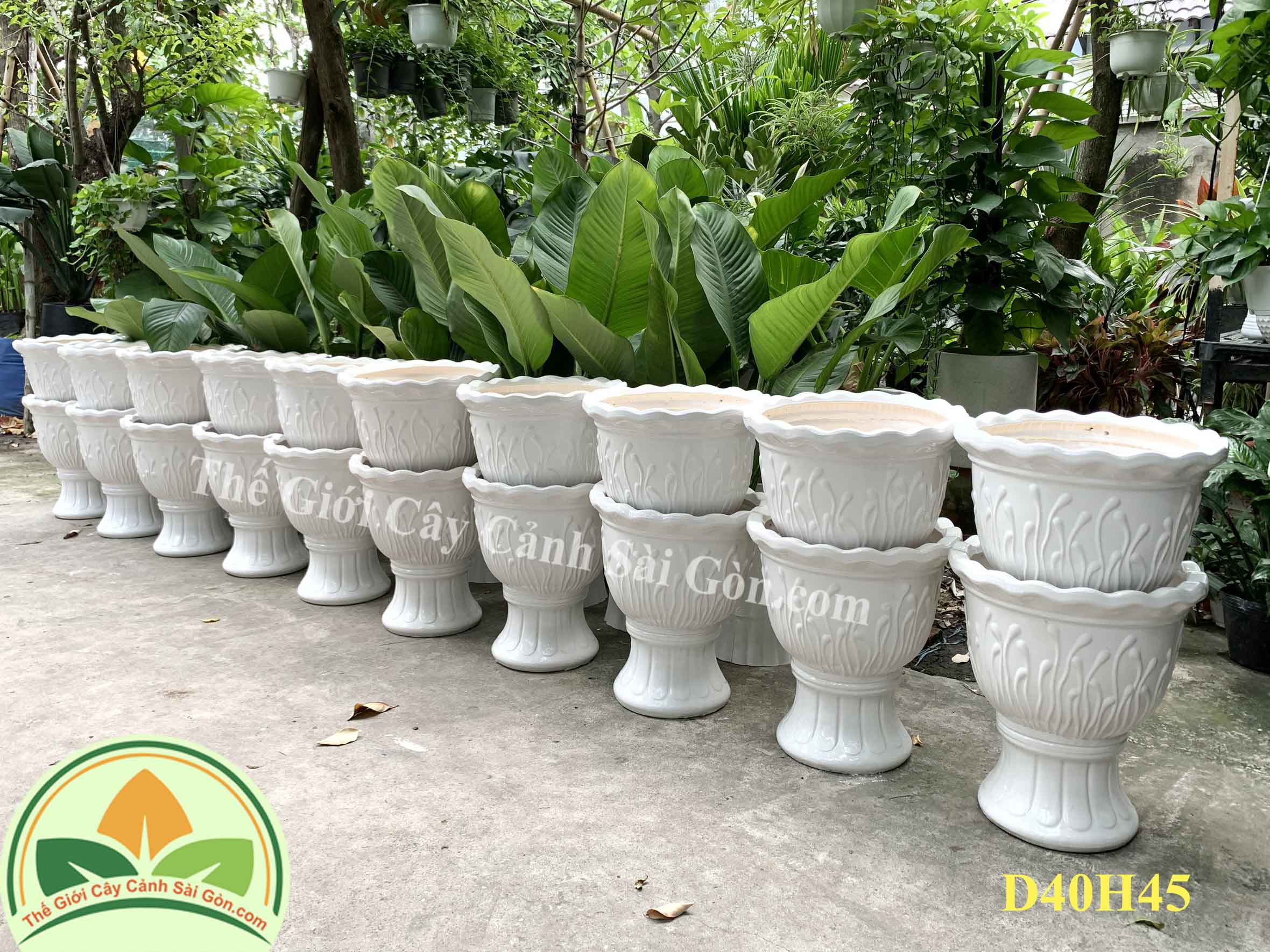 Chậu sứ trắng kiểu ly D40H45 1JPG