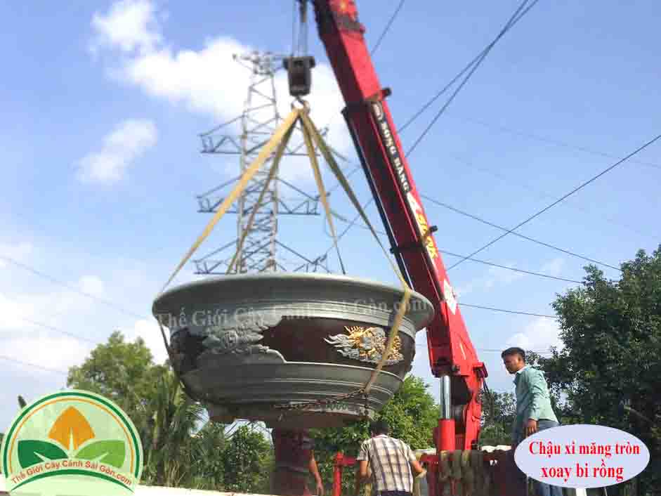 Chậu xi măng tròn xoay bi rồng TGCCSG01122524