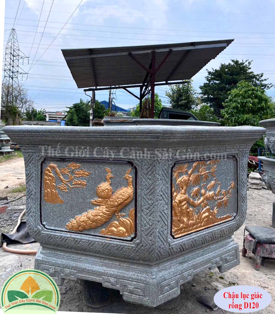 Chậu lục giác vuông