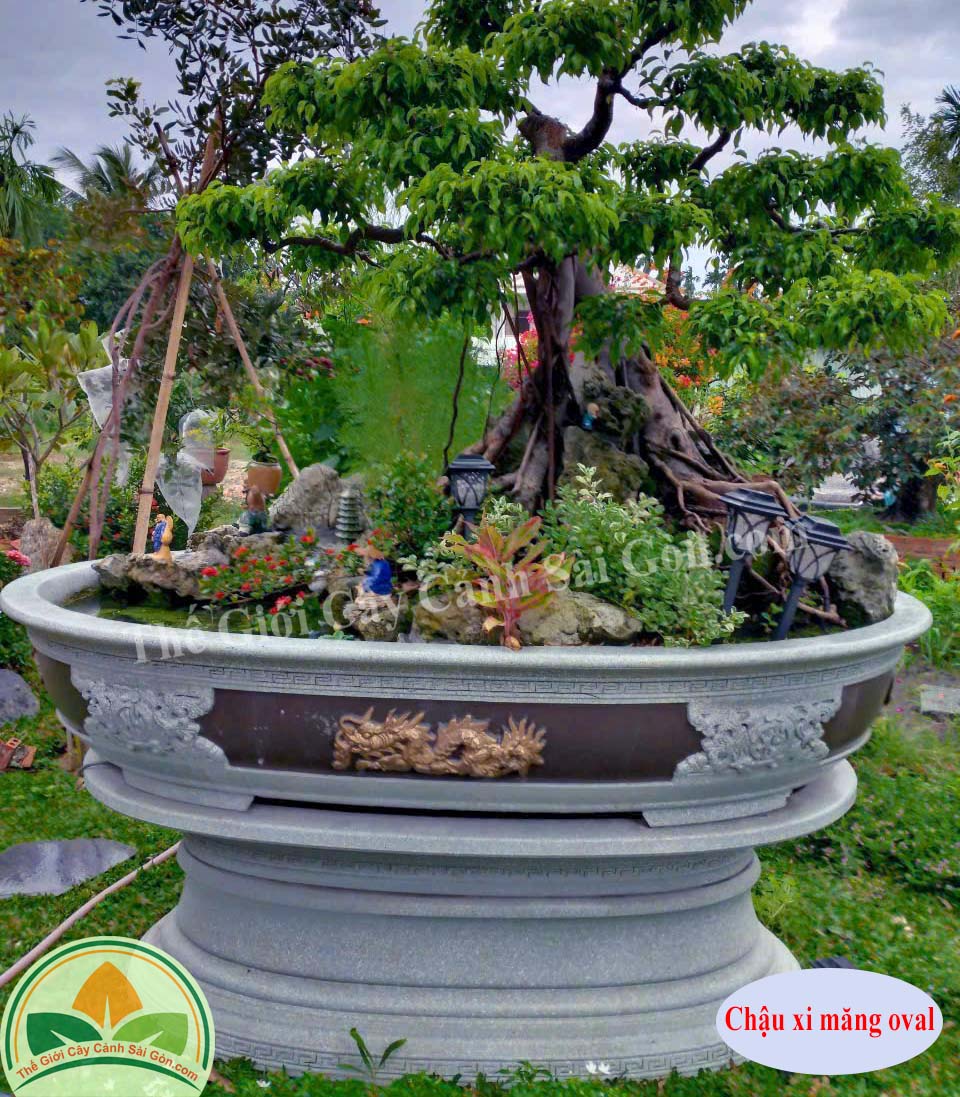 Chậu xi măng oval