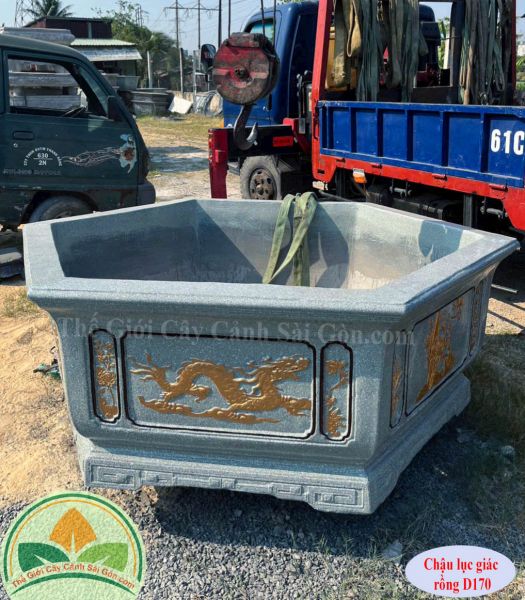 Chậu lục giác vuông