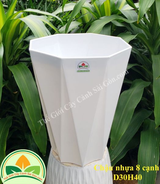 Chậu nhựa 8 cạnh D30H40