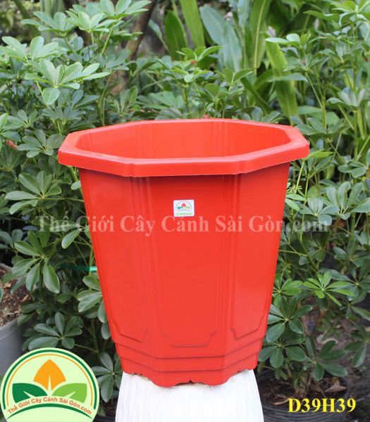 Chậu nhựa lục giác D39H39