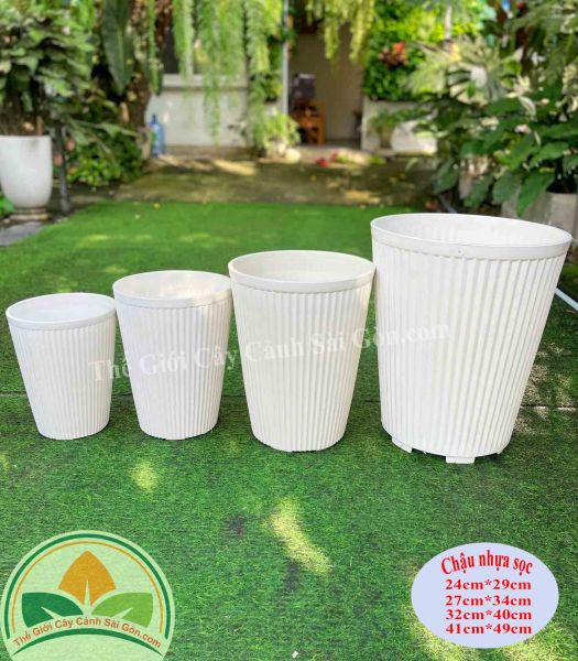 Chậu nhựa gân sọc 