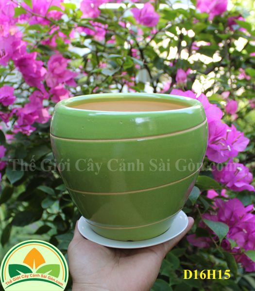 Chậu sứ để bàn màu xanh lá D16H15