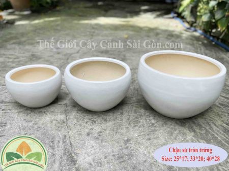 Chậu sứ tròn trứng