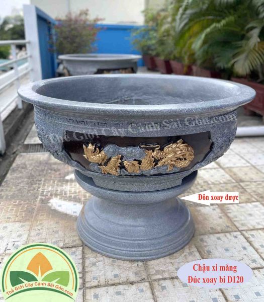 Chậu xi măng xoay bi rồng