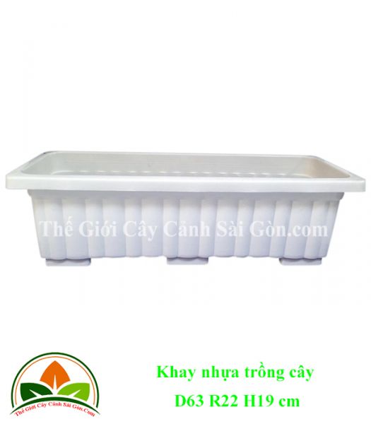 Khay nhựa trồng cây D63R22H19